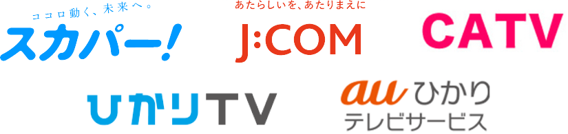 TVで見る