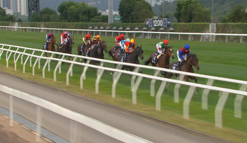 2025香港国際競走 参考レース&調教VTR