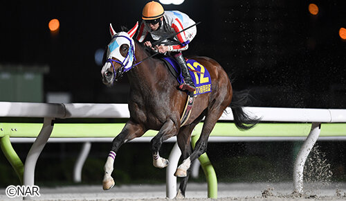 グリーンチャンネル地方競馬中継