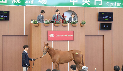 2026JRAブリーズアップセール生中継