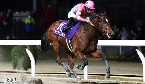 グリーンチャンネル地方競馬中継