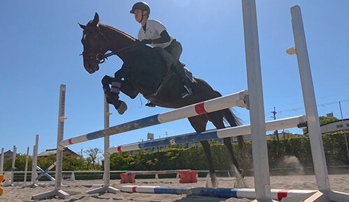 競馬術 RRC FINALへの道2025－引退競走馬の挑戦－
