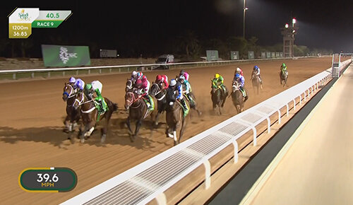 2026サウジカップ参考レース