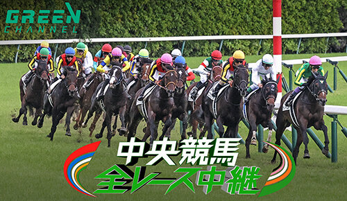 中央競馬全レース中継/中央競馬パドック中継